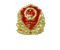 網絡經濟主體信息